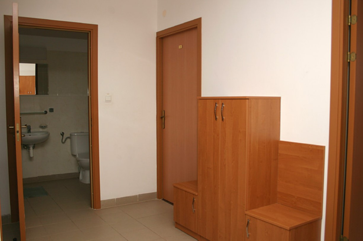 limba 4